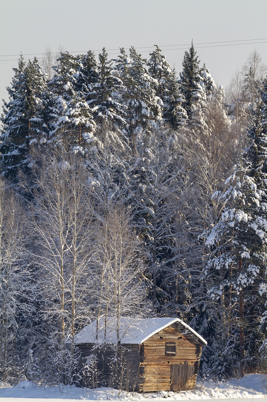 Finlandia